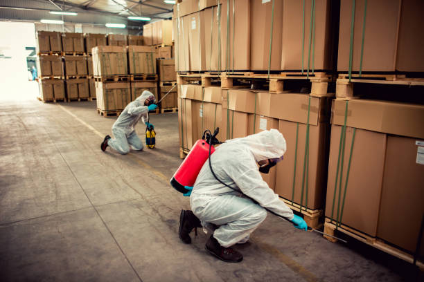 Best Rat Extermination Near Me  in Fair Haven, NY