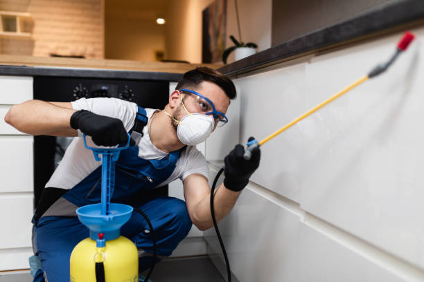 Best Emergency Pest Control  in Fair Haven, NY