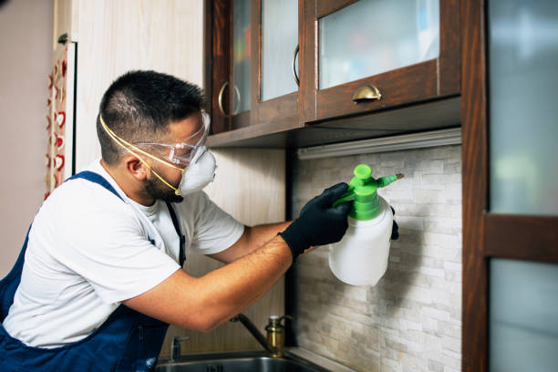 Best Flea Control Services  in Fair Haven, NY