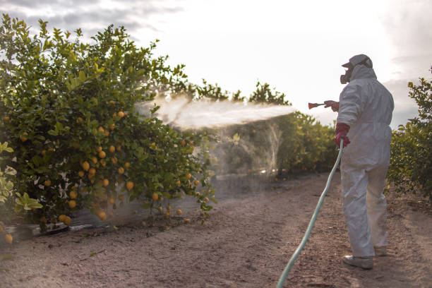 Best Local Pest Control Services  in Fair Haven, NY