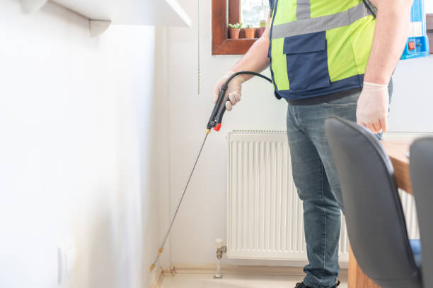 Best Termite Control Services  in Fair Haven, NY