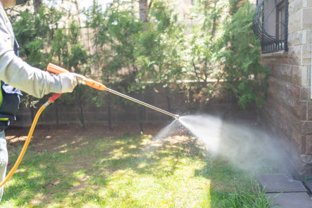 Best Mosquito Control Services  in Fair Haven, NY