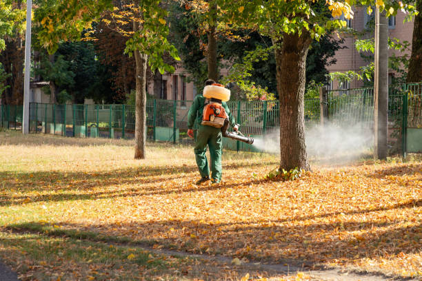 Best Flea Control Services  in Fair Haven, NY