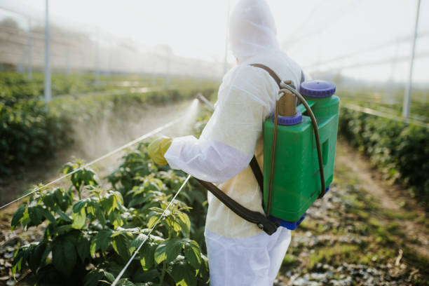 Best Termite Control Services  in Fair Haven, NY